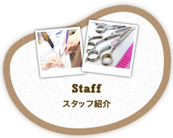 スタッフ紹介